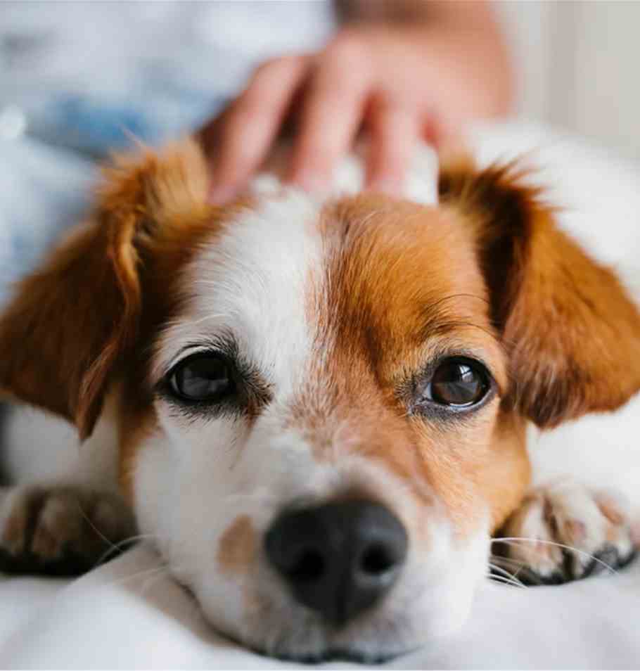 CAWGW Appoints New Chair